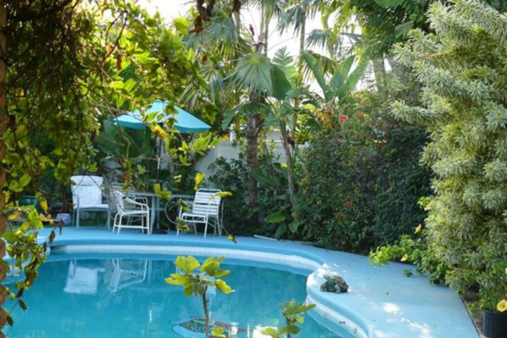 Tropical Garden Studio - Pool on property - image 7