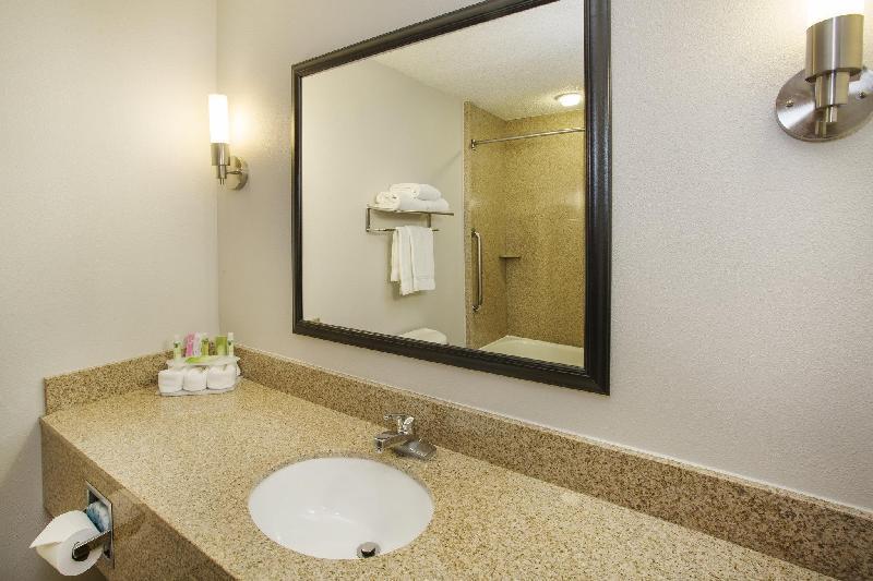 Holiday Inn Express Hotel & Suites Kalamazoo - image 5