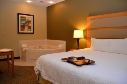 Hampton Inn & Suites Kalamazoo-Oshtemo - image 15