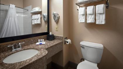 Best Western Plus Kalamazoo Suites - image 13