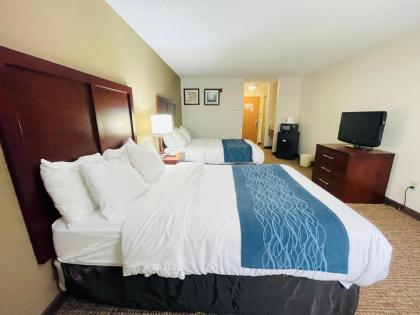 Comfort Inn Kalamazoo - image 12