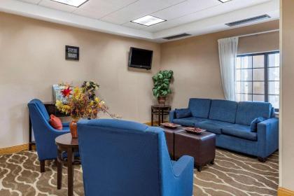 Comfort Inn Kalamazoo - image 15