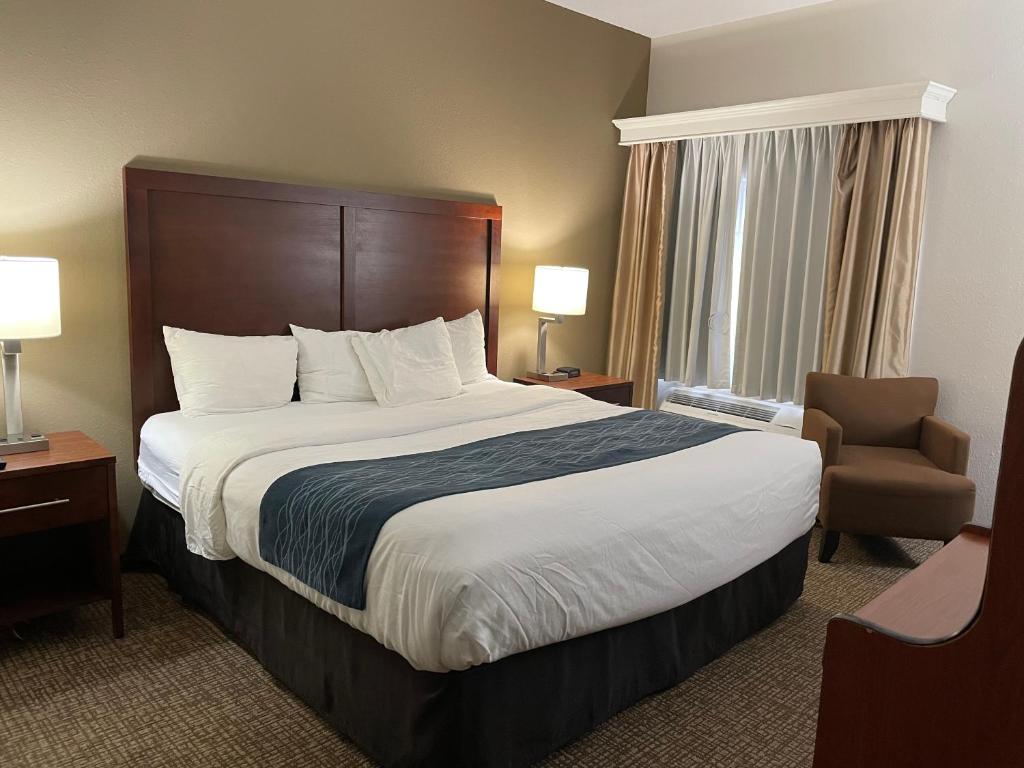 Comfort Inn Kalamazoo - image 3