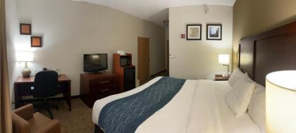 Comfort Inn Kalamazoo - image 4