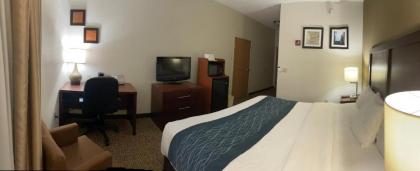 Comfort Inn Kalamazoo - image 7