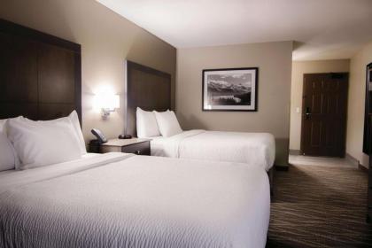 Best Western Plus Kalispell/Glacier Park West Hotel & Suites - image 11