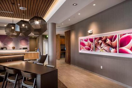 SpringHill Suites by Marriott Kalispell - image 11