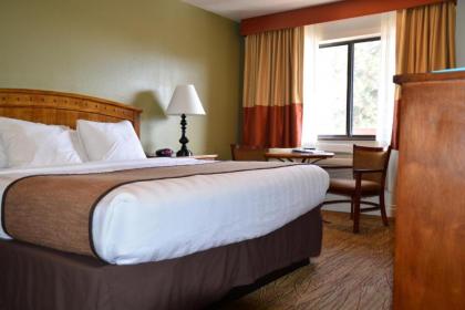 Best Western Red Hills - image 11