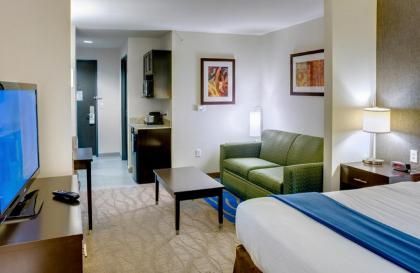 Holiday Inn Express & Suites - Kansas City KU Medical Center an IHG Hotel - image 9