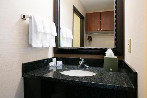 Fairfield Inn & Suites Kansas City Airport - image 4