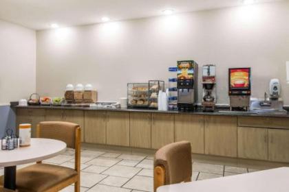 Microtel Inn & Suites by Wyndham Kansas City Airport - image 3