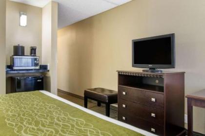 Comfort Inn & Suites Near Worlds of Fun - image 3