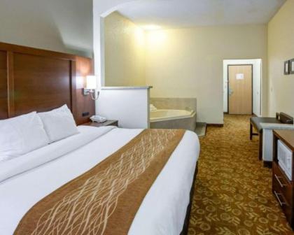 Comfort Suites Kansas City - image 3