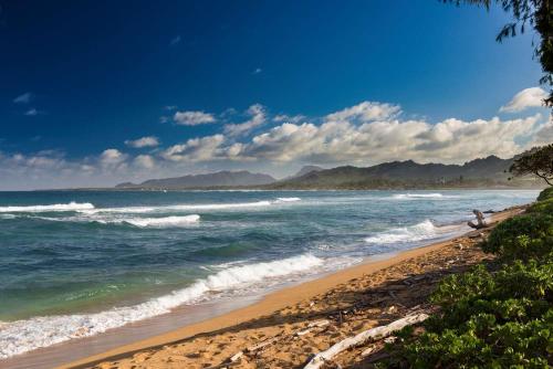 Aston Islander On The Beach - image 5