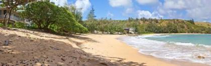 Moloa'a Bay Villa - image 3