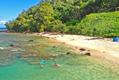 Moloa'a Bay Cottage - image 4