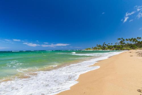 Village Manor F11 Kapaa Town Walk to Shops and Beach - image 3