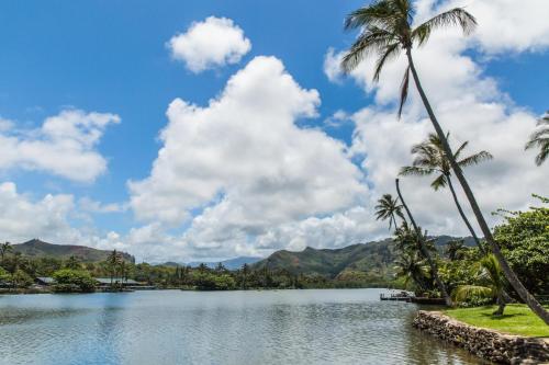 Village Manor F11 Kapaa Town Walk to Shops and Beach - image 4