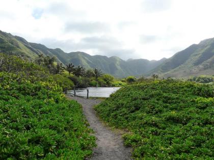 Ka Hale Kealoha - image 13