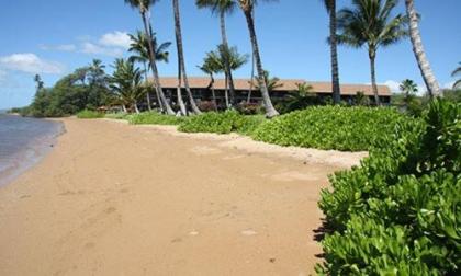 Molokai Shores - image 15