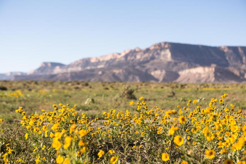 Kayenta Monument Valley Inn - image 4