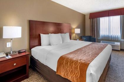 Comfort Inn & Suites Kelso - Longview - image 7