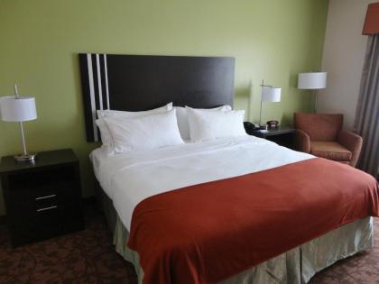 Holiday Inn Express Kenedy an IHG Hotel - image 3