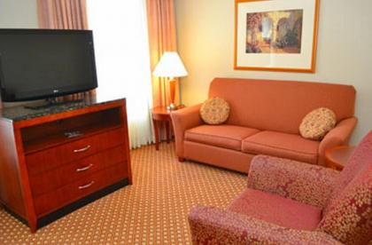 Hilton Garden Inn New Orleans Airport - image 6