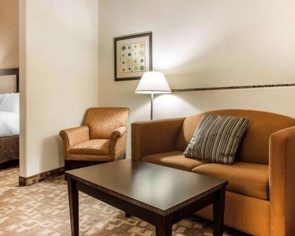 Comfort Suites at Kennesaw State University - image 9