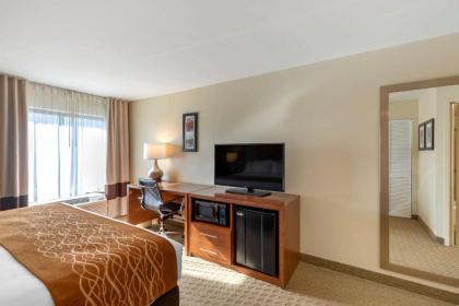 Comfort Inn Kennesaw - image 12