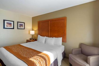 Comfort Inn Kennesaw - image 7