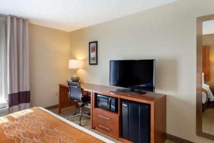 Comfort Inn Kennesaw - image 8