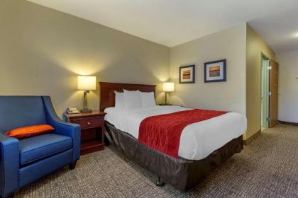 Comfort Inn Kennewick Richland - image 10