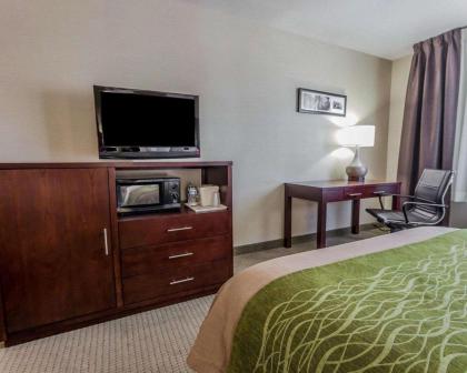 Comfort Inn Kent - Seattle - image 10