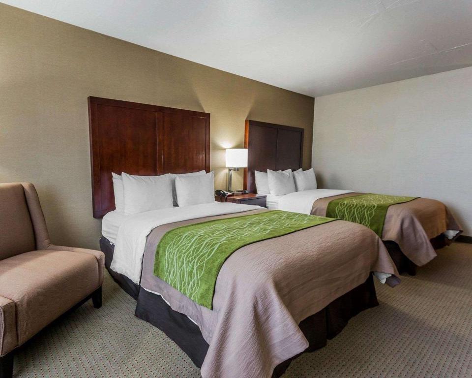 Comfort Inn Kent - Seattle - image 2