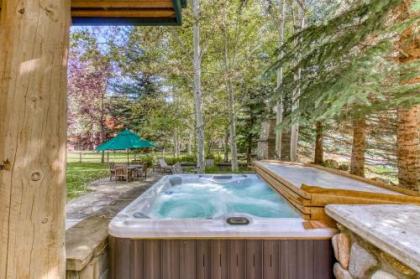 Warm Springs Mountain Retreat - image 4