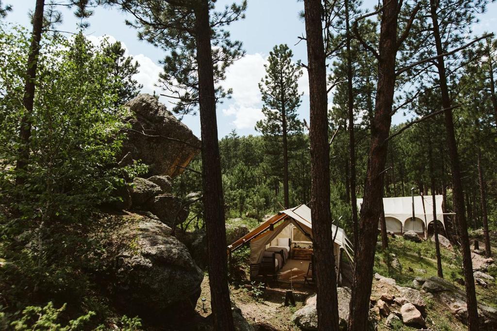 Under Canvas Mount Rushmore - image 7