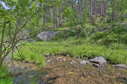 Historic Grizzly Gulch Cabin Near Mt Rushmore! - image 4