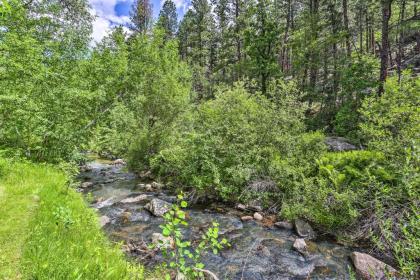 Historic Grizzly Gulch Cabin Near Mt Rushmore! - image 9