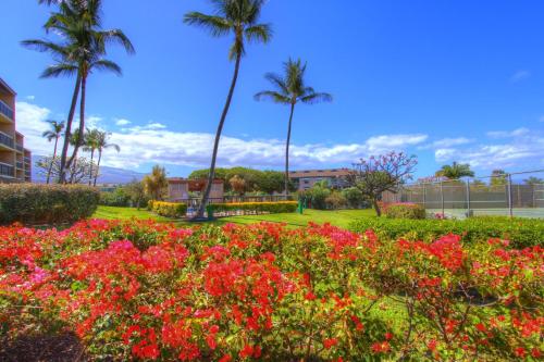 Maui Vista 3101 - image 3