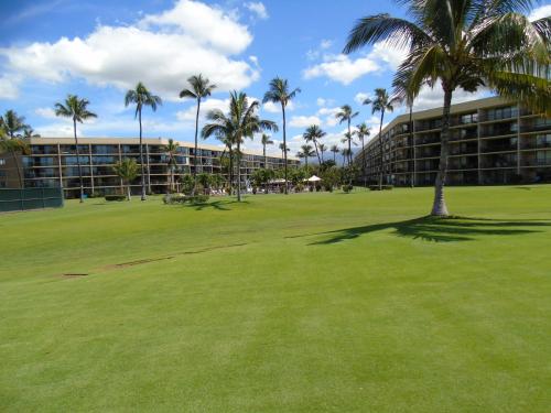 Aloha MAI - Resort Condo - image 2