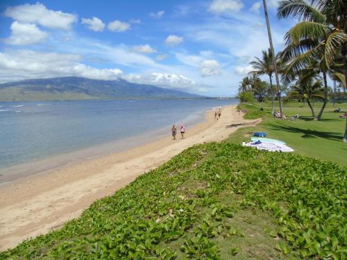 Aloha MAI - Resort Condo - image 3