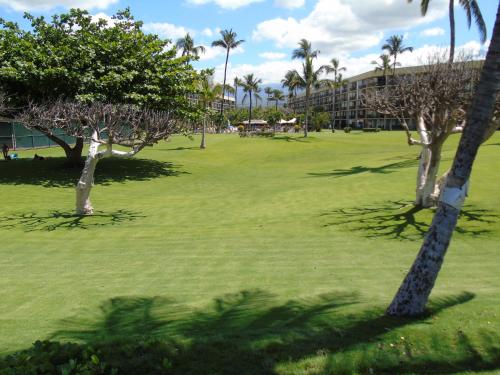 Aloha MAI - Resort Condo - image 4