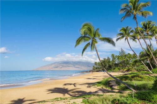 Kauhale Makai 125 - 1 Bedroom Ground Floor Condo Ocean Front Resort Pool - image 3