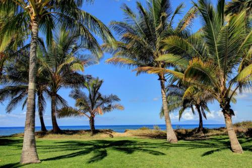 Halama Hale Private Home by Coldwell Banker Island Vacations - image 5