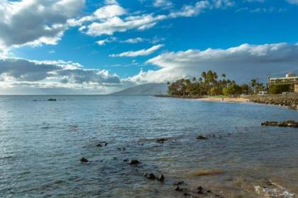 Island Surf by Coldwell Banker Island Vacations - image 3