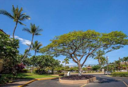 Maui Vista by Coldwell Banker Island Vacations - image 14