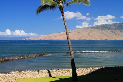 Menehune Shores #218 by Ali'i Resorts - image 10