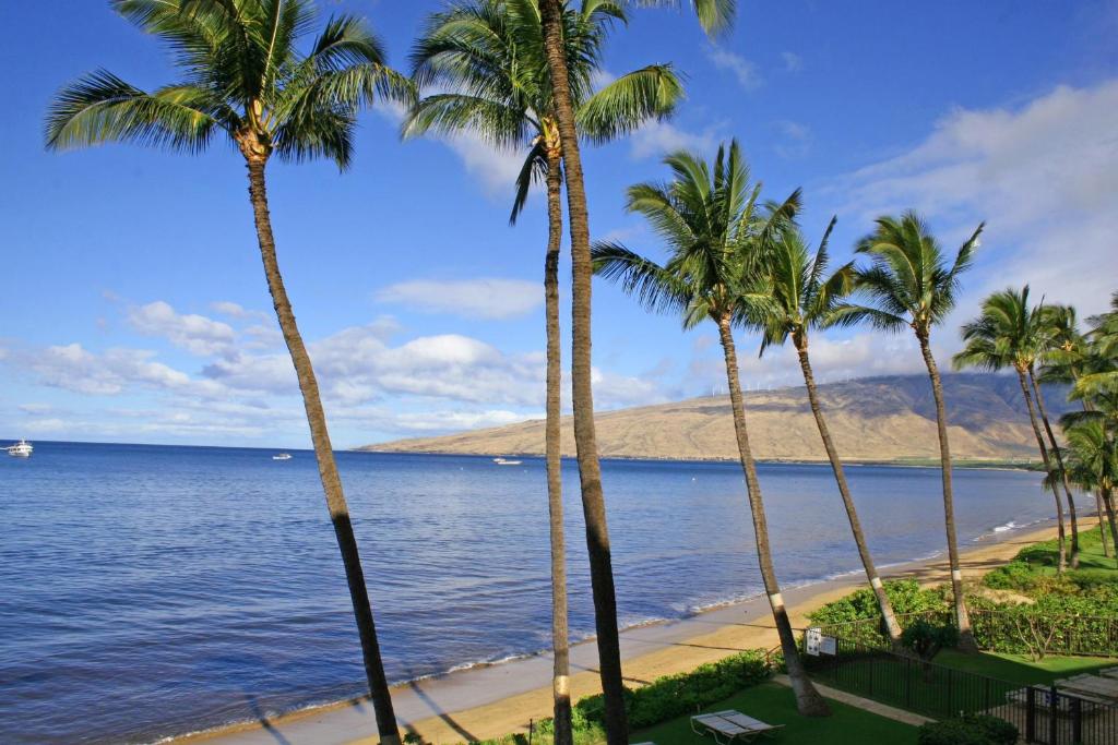 Kihei Beach #509 by Ali'i Resorts - image 3