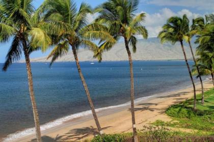 Kihei Beach #403 by Ali'i Resorts - image 9